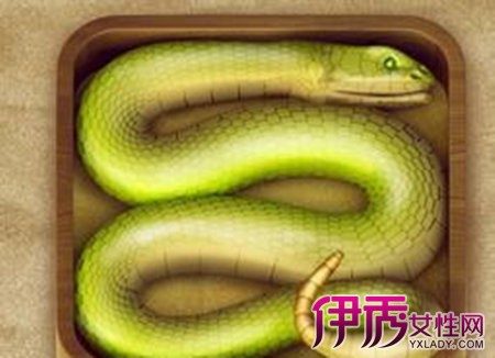 【图】胎梦梦见蛇是什么意思周公为你解密