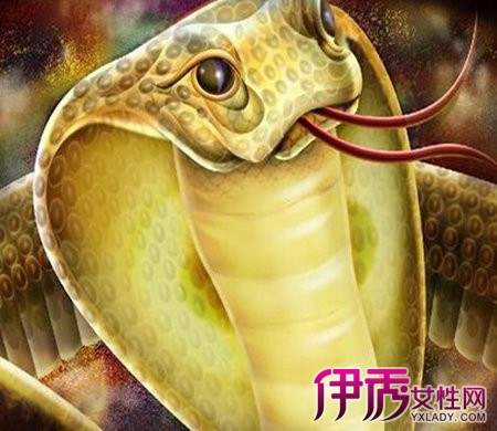 【胎梦梦见蛇是什么意思】【图】胎梦梦见蛇是