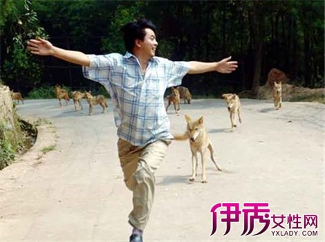 【梦见蟒蛇追我】【图】梦见蟒蛇追我是什么意