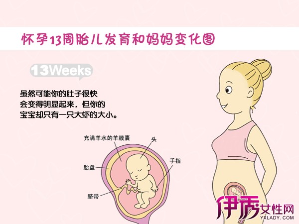 【图】怀孕十个月胎儿发育 怀孕十个月妈妈的