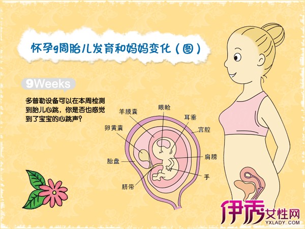 【图】怀孕十个月胎儿发育 怀孕十个月妈妈的