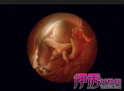 怀孕36周胎儿图