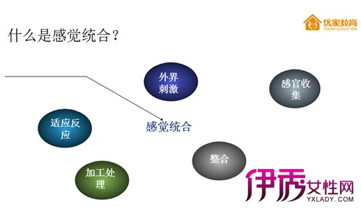 家教育】优家教育分析孩子的运动发展与感觉统