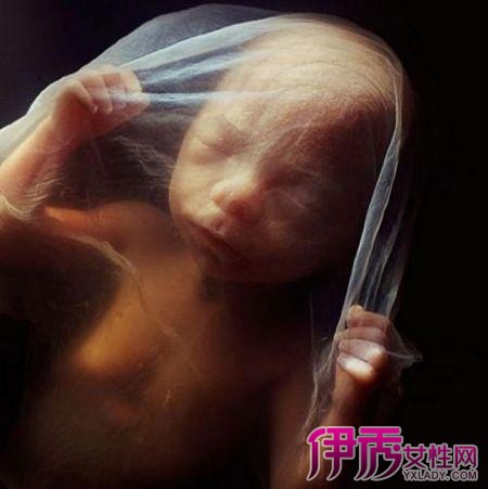 【怀孕十六周胎儿图】【图】怀孕十六周胎儿图