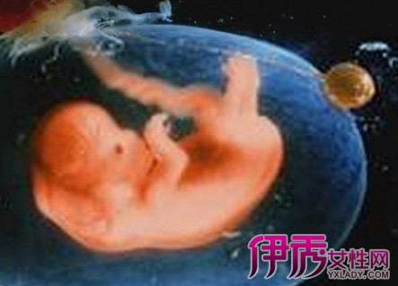 【三十周胎儿发育图】【图】被寄予希望的三十
