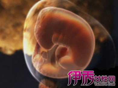 怀孕三个半月要点提示 胎儿和妈妈都会发生变化