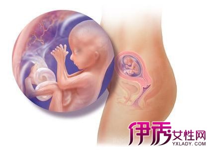 【图】孕检需要空腹吗4个早孕需检查项目