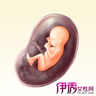 【怀孕四个月女胎儿图】【图】怀孕四个月女胎