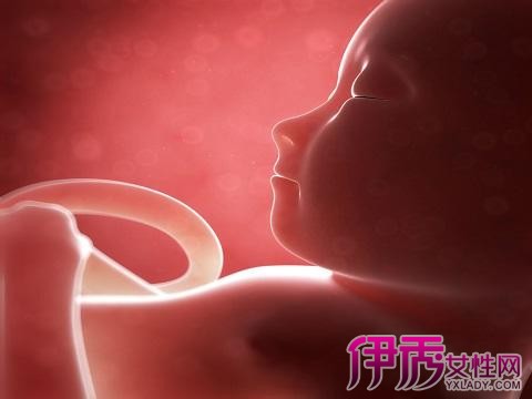 【婴儿在肚子里怎么呼吸】【图】婴儿在肚子里