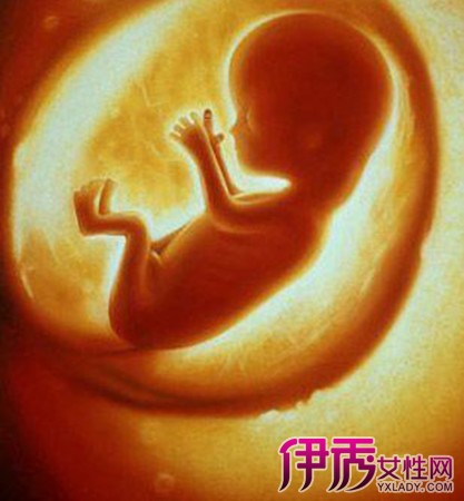怀孕十二周胎儿发育图 做好5点给宝宝安全环境