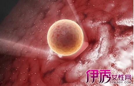 【受精卵着床有什么感觉】【图】受精卵着床有