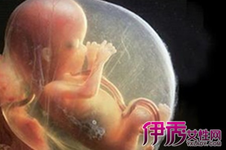 四个月胎儿图片欣赏 以下六点孕妇必须知道