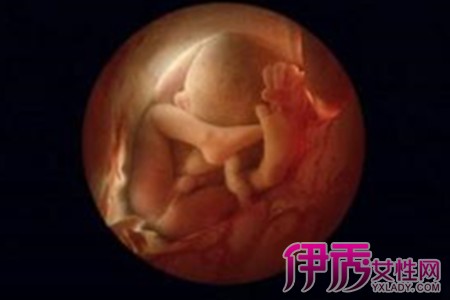 怀孕七个月图片欣赏 5个方面了解胎儿的发育情况和注意事项