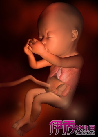 【图】畸形胎儿几个月能看出来 揭秘畸形胎儿预防方法