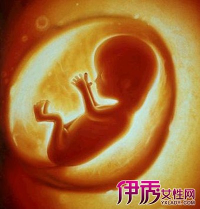 【怀孕五个月胎儿有多大】【图】怀孕五个月胎