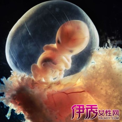 【图】孕三十二周胎儿发育情况怎么样 医生为