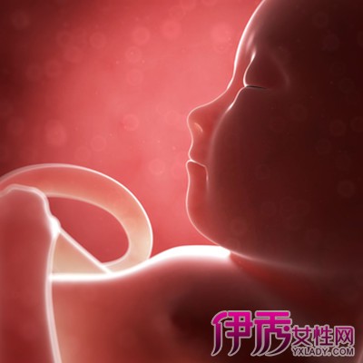 【孕三十二周胎儿发育情况】【图】孕三十二周