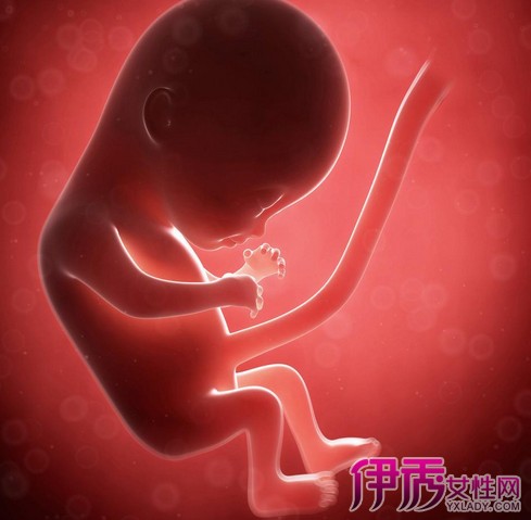 【图】怀孕六个月的宝宝发育标准是怎样的? 分