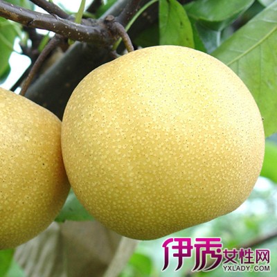 【宝宝干咳嗽吃什么好的快】【图】宝宝干咳嗽