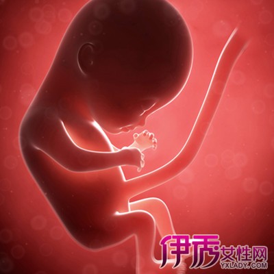 【胎儿生长】【图】胎儿生长图片展示 分享胎