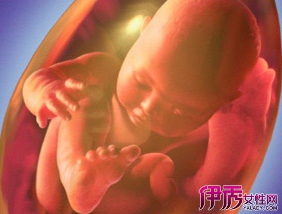 【图】三十六周胎儿图片分享 盘点该期间的注意事项及营养餐介绍