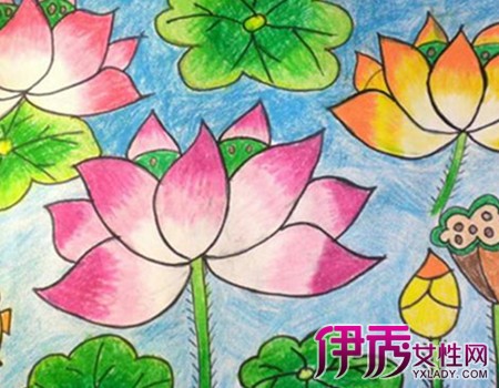 【图】新荷花怎么画儿童画 四大步骤画仙荷