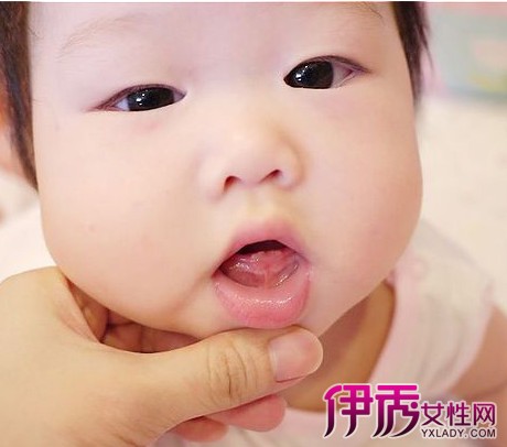 【宝宝长牙齿前牙龈图片】【图】宝宝长牙齿前