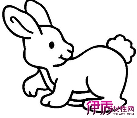 【幼儿园兔子简笔画】【图】展示幼儿园兔子简