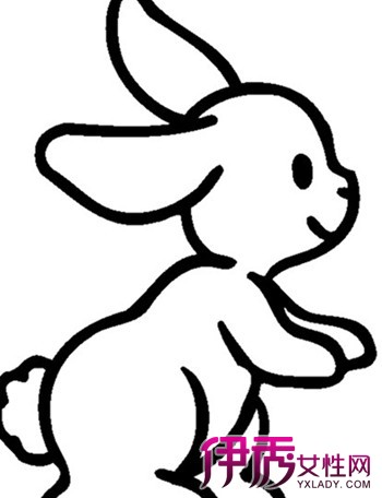 展示幼儿园兔子简笔画 让你认识简笔画对幼儿的5点发展意义