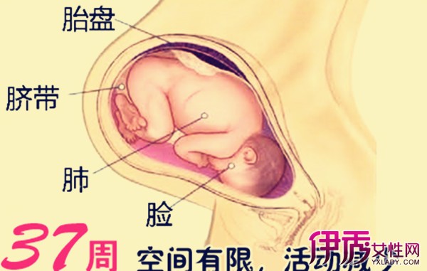 【怀孕三十七周肚子隐隐的痛】【图】怀孕三十