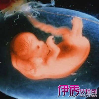 【怀孕三个多月宝宝图】【图】观察怀孕三个多