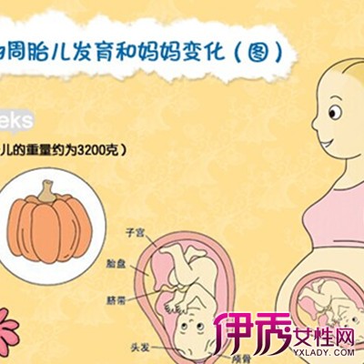 【怀孕三个多月宝宝图】【图】观察怀孕三个多