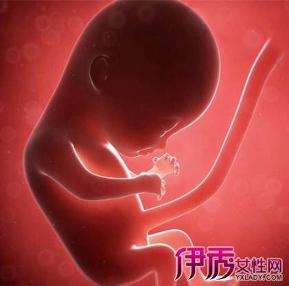 【怀孕六个月宝宝发育标准】【图】怀孕六个月