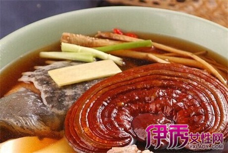 【孕妇可以吃灵芝煲汤吗】【图】孕妇可以吃灵
