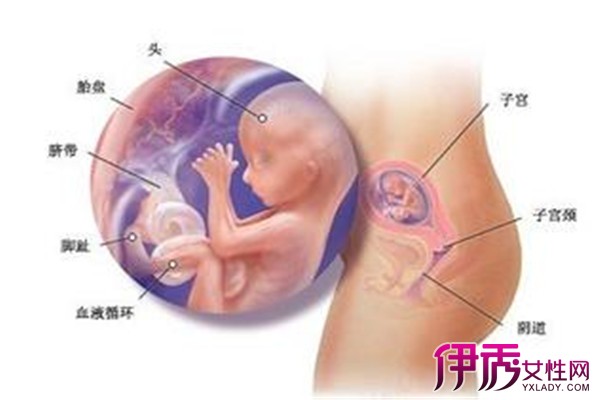【孕妇便秘对胎儿有什么影响】【图】孕妇便秘
