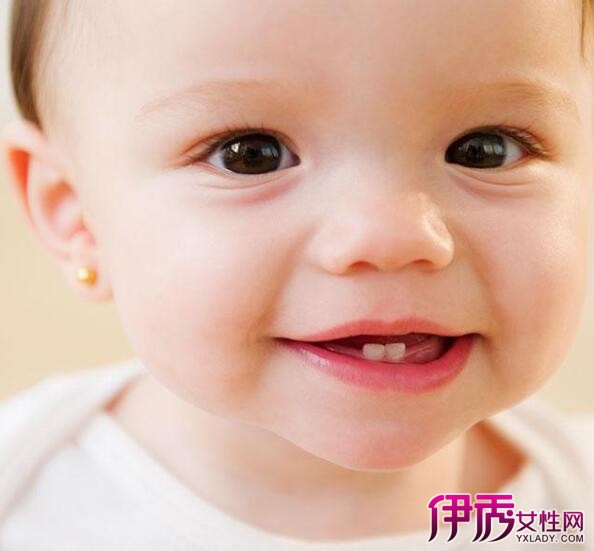 【图】6个月宝宝可以吃南瓜泥吗? 如何给宝宝