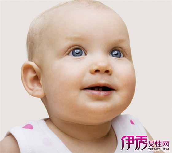 【七个月宝宝能吃红枣粥吗】【图】七个月宝宝
