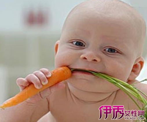 【图】分享婴儿加辅食顺序教你正确喂婴儿