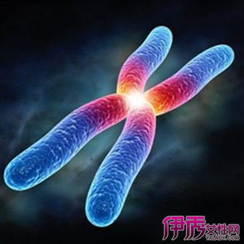 【胎儿染色体异常原因】【图】胎儿染色体异常