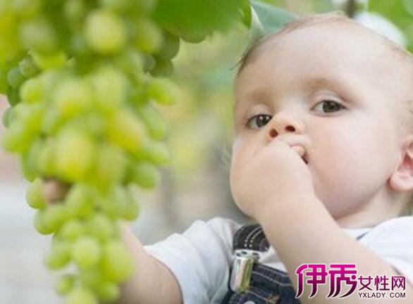 【图】婴儿可以吃葡萄吗宝宝吃葡萄有什么好处