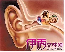 【耵聍】【图】耳朵被耵聍(耳垢)堵了怎么办?