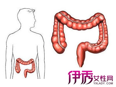 【直肠癌晚期能活多久】【图】直肠癌晚期能活