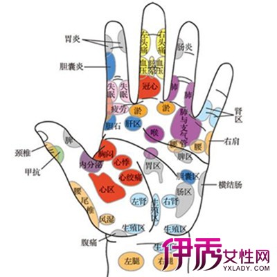 【手的穴位图】【图】手的穴位图解释 鲜为人