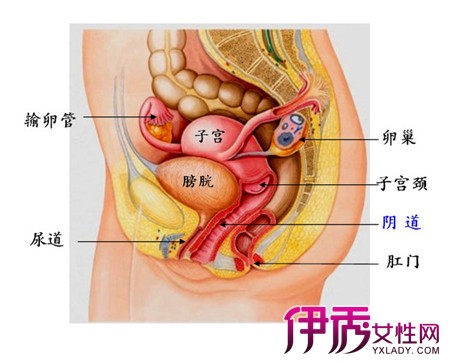 【图】阴道撕裂有哪些方法治疗 2个修复方法帮助你