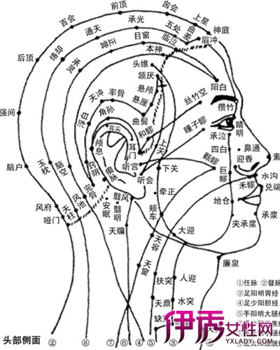 人体经络分布图大全 人体十二经络时辰运行情况