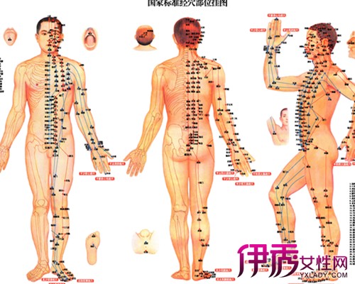 【图】人体经络分布图大全 人体十二经络时辰运行情况