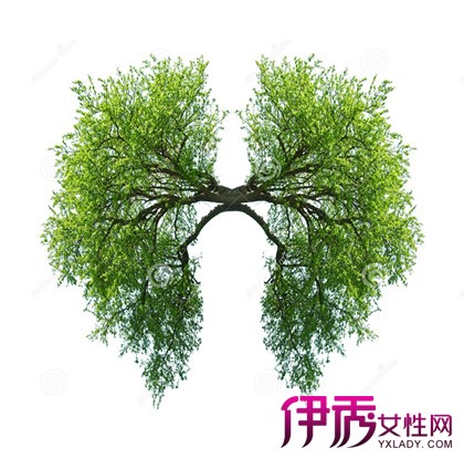 【肺纤维化治疗新方法】【图】关于肺纤维化治