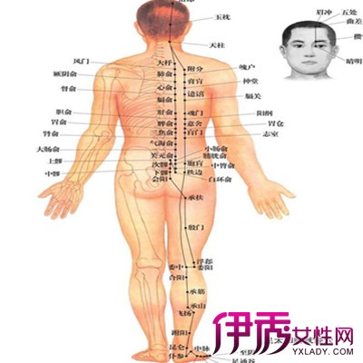 【膀胱经不通的症状】【图】膀胱经不通的症状