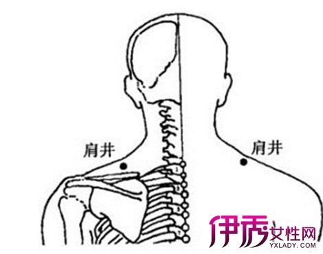 【颈椎病针灸穴位图】【图】颈椎病针灸穴位图