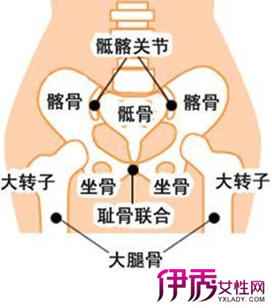 【图】耻骨痛是什么原因呢 意想不到的6大成因告诉你